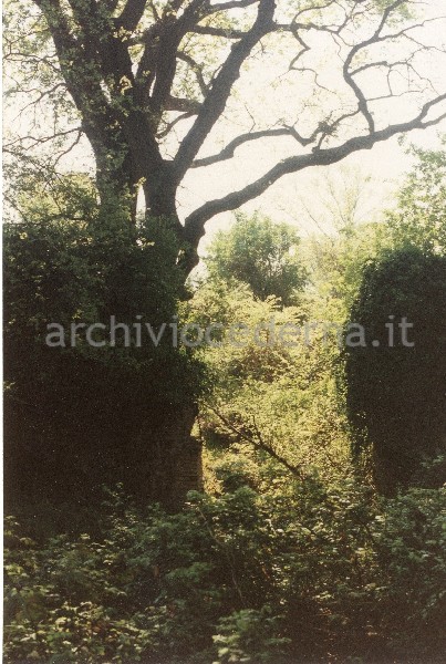 Roma, Valle di Malafede