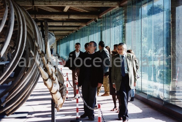 Museo di storia Naturale di Pisa: "Incontro nazionale di presentazione di questo Museo" (22 ottobre 1994). Cederna e altri in visita al museo