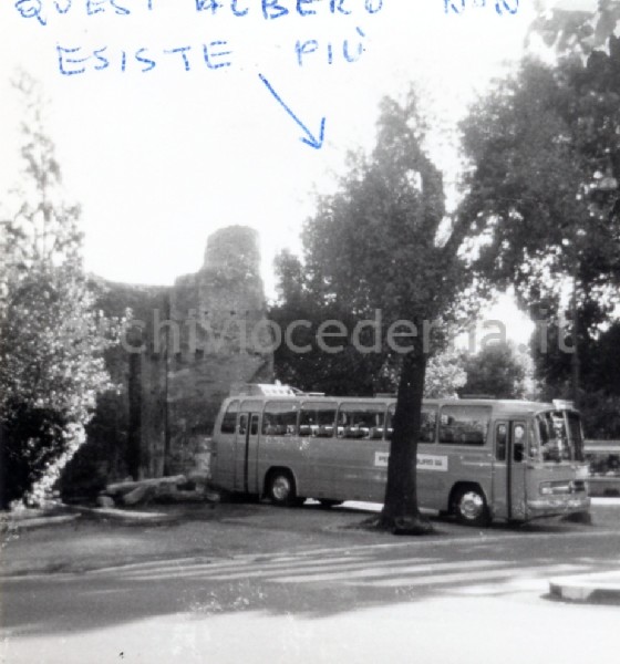 Roma, Parco archeologico del Colle Oppio: i pullman che stazionano nel giardino ormai dall'anno Santo (1975)