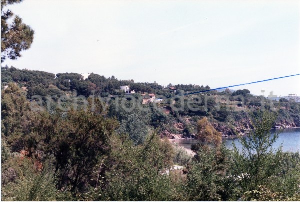 Isola d'Elba (LI)