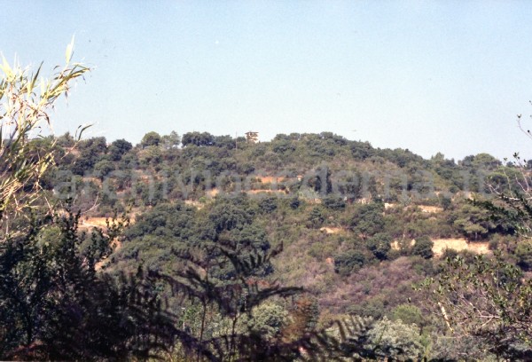 Isola d'Elba (LI)