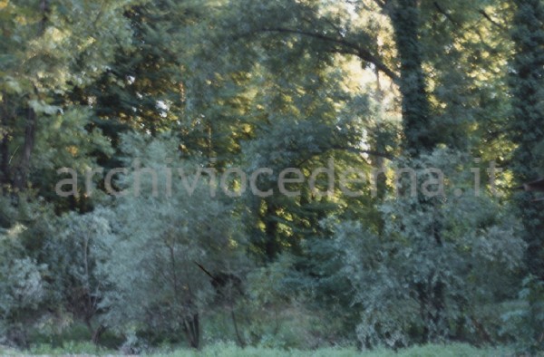 Villa Visconti, Cernobbio (CO): "6 settembre '87 area ceduta da Uberta Visconti, oggi ancora salva"