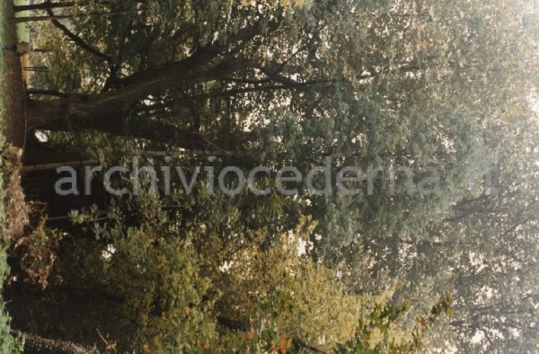 Villa Visconti, Cernobbio (CO): "autunno '86 scarico del bosco abbattuto"