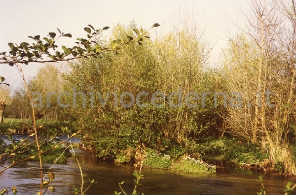 Udine: fiume Ledra