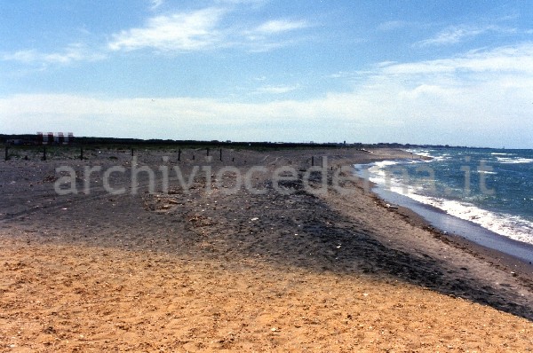 Spiaggia di [Focene]