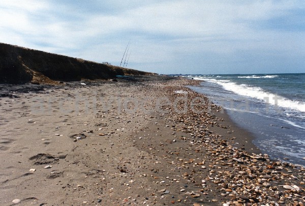Spiaggia di [Focene]