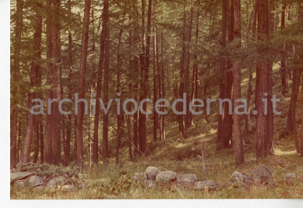 9. Pra' del bosco