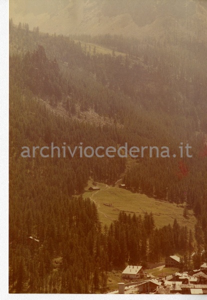 10. Veduta del bosco