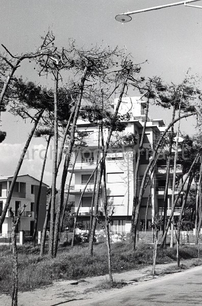 "Il Secco (lungomare) 1964"