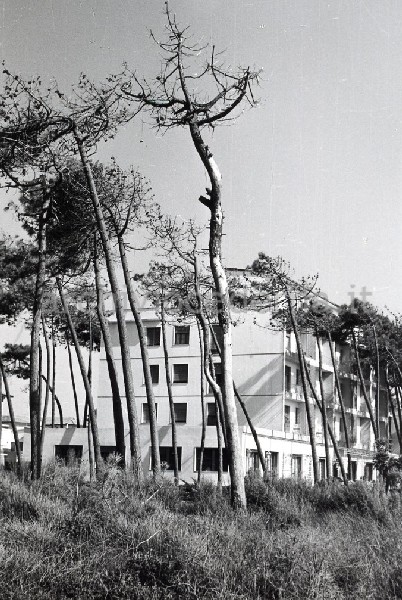"Il Secco (lungomare) 1964"