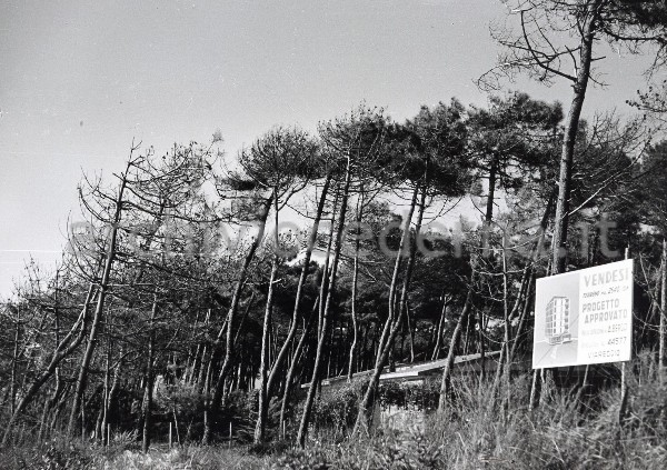 "Motrone (lungomare) 1964"