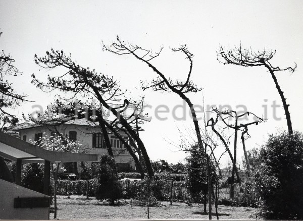 "Tonfano (lungomare) 1964"