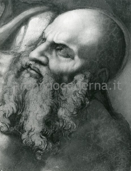 "Il Giudizio Universale (dopo il restauro): S. Bartolomeo, particolare della testa"