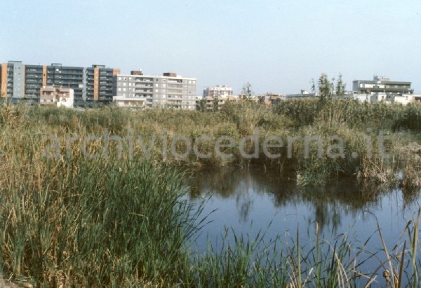 Il Parco Molentargius Saline Poetto