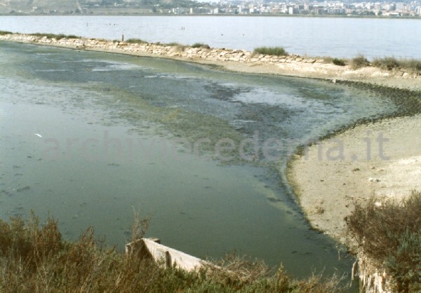 Il Parco Molentargius Saline Poetto