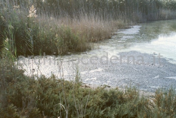 Il Parco Molentargius Saline Poetto: inquinamento