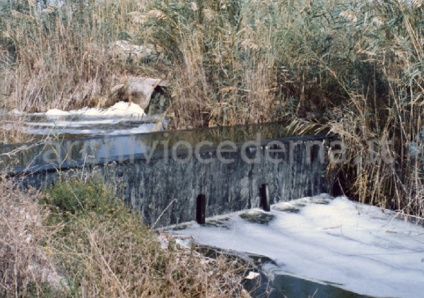 Il Parco Molentargius Saline Poetto: inquinamento