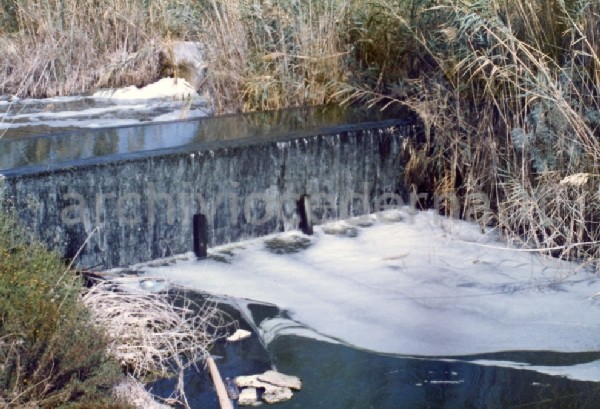 Il Parco Molentargius Saline Poetto: inquinamento