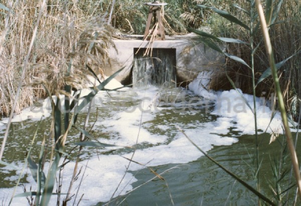 Il Parco Molentargius Saline Poetto: inquinamento
