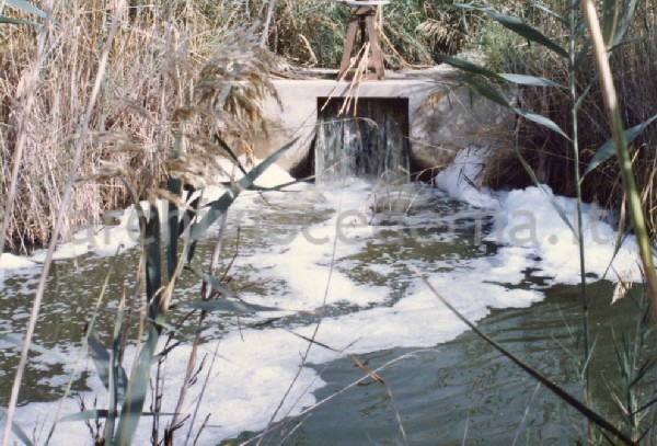 Il Parco Molentargius Saline Poetto: inquinamento