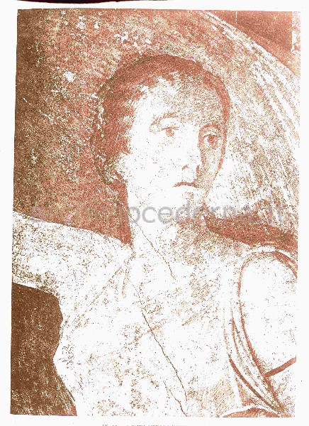 La Donna Atterrita, particolare