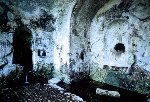 /00348/00348_001_001_024.jpg