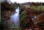/00348/00348_001_001_028.jpg