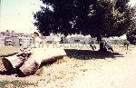 /00622/00622_000_000_011.jpg