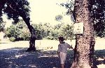 /00622/00622_000_000_014.jpg