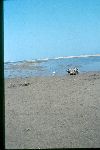 /00622/00622_000_000_D059.jpg