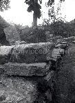 /F.1/F.1_000_000_005.jpg