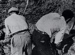 /F.1/F.1_000_000_009.jpg