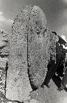 /F.1/F.1_000_000_020.jpg
