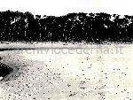 /F.4/F.4_017.jpg