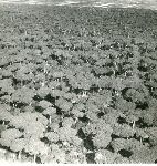 /F.4/F.4_047.jpg