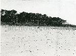 /F.4/F.4_050.jpg