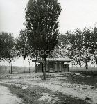 /F.53/F.53_005.jpg