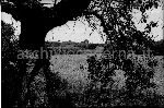 /F.A.3/00FA3_000_000_002.jpg