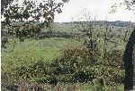 Roma, Valle di Malafede