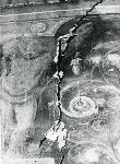 1052/1052_006.jpg