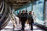 Museo di storia Naturale di Pisa: "Incontro nazionale di presentazione di questo Museo" (22 ottobre 1994). Cederna e altri in visita al museo