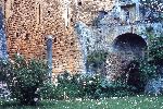 "Il Giardino di Ninfa. Fontana del Castello"