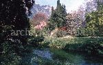 "Il Giardino di Ninfa. Particolare del fiume Ninfa"