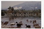 "La cava dal lago di Annone est (quota m 226)"