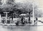 1191/1191_002.jpg
