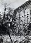 1191/1191_005.jpg