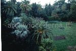 1191/1191_008.jpg