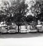 Roma, Parco archeologico del Colle Oppio: i pullman che stazionano nel giardino ormai dall'anno Santo (1975)