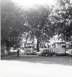 Roma, Parco archeologico del Colle Oppio: i pullman che stazionano nel giardino ormai dall'anno Santo (1975)