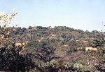 Isola d'Elba (LI)